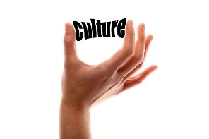 MÁS ATAQUES A LA CREACIÓN Y LA CULTURA