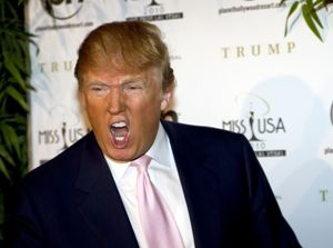 TRUMP Y LA XENOFOBIA EUROPEA: SIMILITUDES Y CONTRASTES