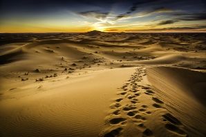 CAMINAR POR EL DESIERTO