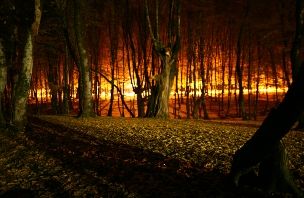 MONTES E INCENDIOS FORESTALES: UN RIESGO CRECIENTE ANTE OTRA MÁS DE LAS POLÍTICAS INADECUADAS DEL GOBIERNO DE RAJOY