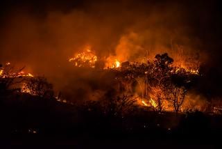 LA INEFICACIA DEL GOBIERNO EN LA LUCHA CONTRA EL CALENTAMIENTO GLOBAL Y LOS INCENDIOS