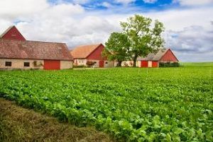 ¿ES POSIBLE EVITAR EL DESPOBLAMIENTO DEL MUNDO RURAL?