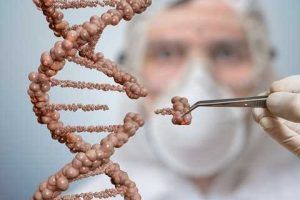 INGENIERÍA GENÉTICA HUMANA Y DISCAPACIDAD