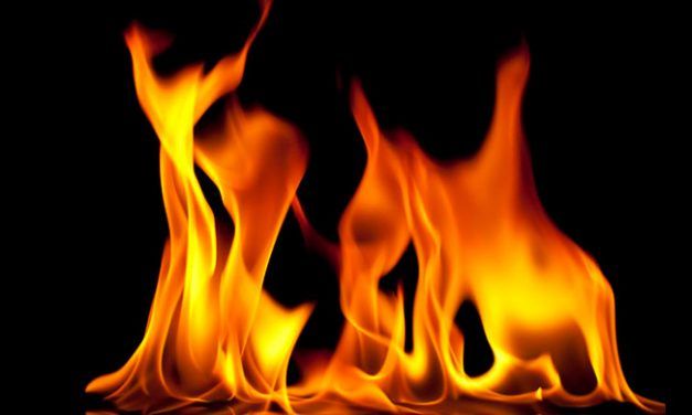 TODOS LOS FUEGOS EL FUEGO