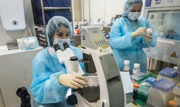 LAS QUIMERAS HUMANOIDES COMO QUIEBRA DEL PRINCIPIO DE HUMANIDAD E IGUALDAD
