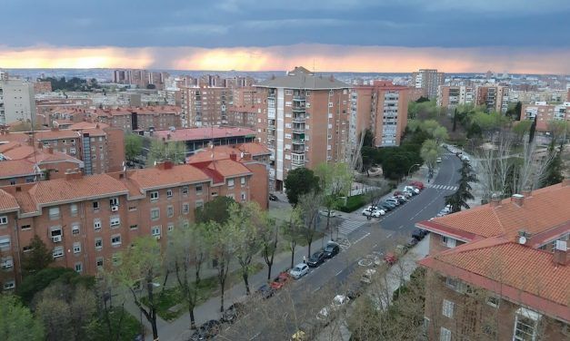 PERFILES POLÍTICOS DE LA PANDEMIA. ESTADO DE ALARMA Y SOLIDARIDAD
