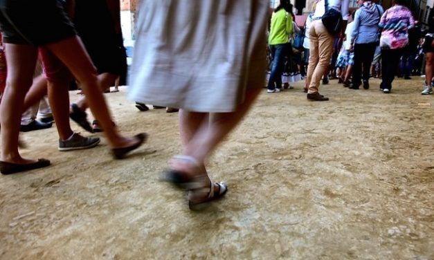 RETO DEMOGRÁFICO, GLOBALIZACIÓN, CORONAVIRUS Y PAPEL DEL MEDIO RURAL EN UN POTENCIAL NUEVO MODELO DE DESARROLLO