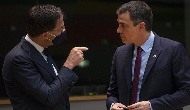LA HORMIGA NO ES TAN HORMIGA; LA CIGARRA, TAMPOCO