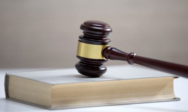 COMENTARIOS A LA SENTENCIA DEL TRIBUNAL CONSTITUCIONAL SOBRE EL ESTADO DE ALARMA. II. FILOSOFÍA GENERAL DE LA SENTENCIA