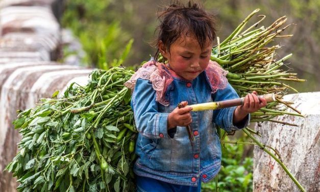 TRABAJO INFANTIL: 160 MILLONES DE VICTIMAS