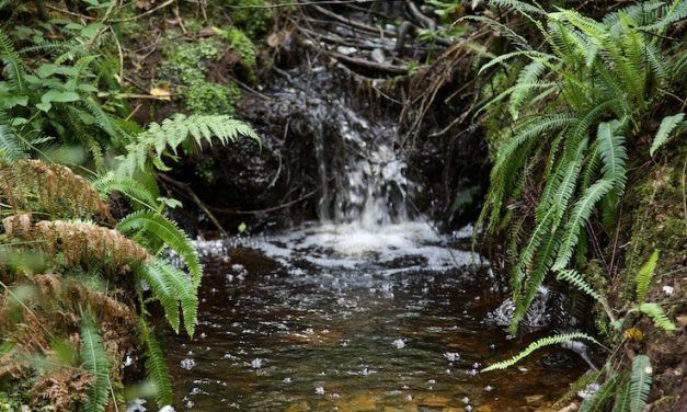 ODS 6: AGUA LIMPIA Y SANEAMIENTO