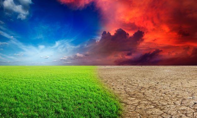 EMERGENCIA CLIMÁTICA… E IGNORANCIA