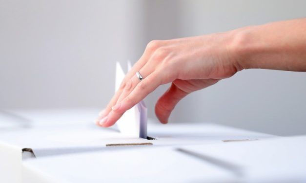 ELECCIONES VASCAS: UN 28,9 % DECIDIRÁ SU VOTO DURANTE LA ÚLTIMA SEMANA DE CAMPAÑA