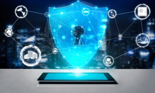 PREOCUPACIÓN POR LA INSEGURIDAD EN LA RED