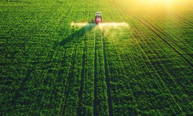 DESARROLLO RURAL, PROTESTAS AGRARIAS Y AFECCIÓN AMBIENTAL. Tercera Parte. El logro de los cambios al margen de sus efectos ambientales