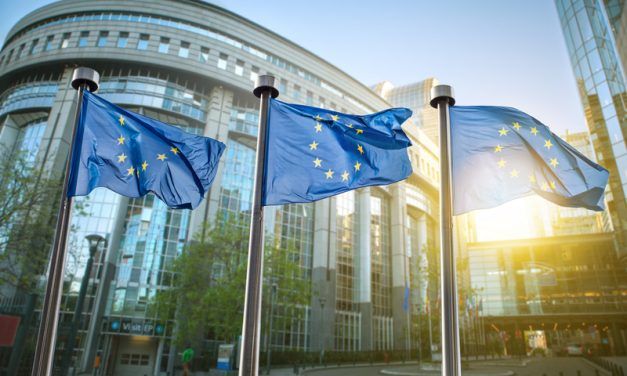 ELECCIONES EUROPEAS: EL 48,8% DE LOS JÓVENES DE 18 A 24 AÑOS DECIDIRÁ SU VOTO LA ÚLTIMA SEMANA