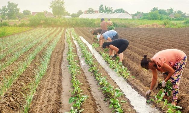 LA REFORMA DEL SUBSIDIO DE DESEMPLEO