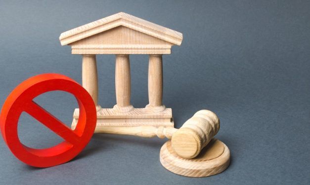 EL SENADO ¿PARA QUÉ?