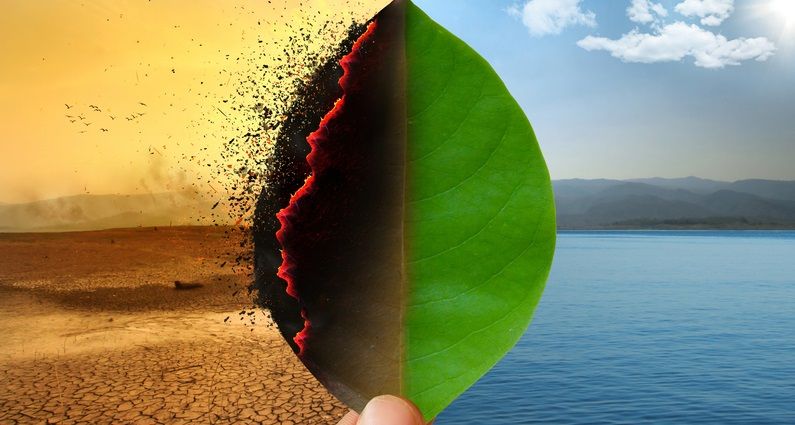LA ACTUAL DINÁMICA DEL CALENTAMIENTO GLOBAL Y SUS CONSECUENCIAS GLOBALES