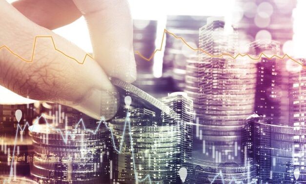 LA IMPORTANCIA DEL SECTOR PÚBLICO EN ECONOMÍA