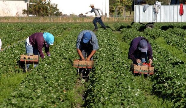 LA INMIGRACIÓN ES UNA NECESIDAD