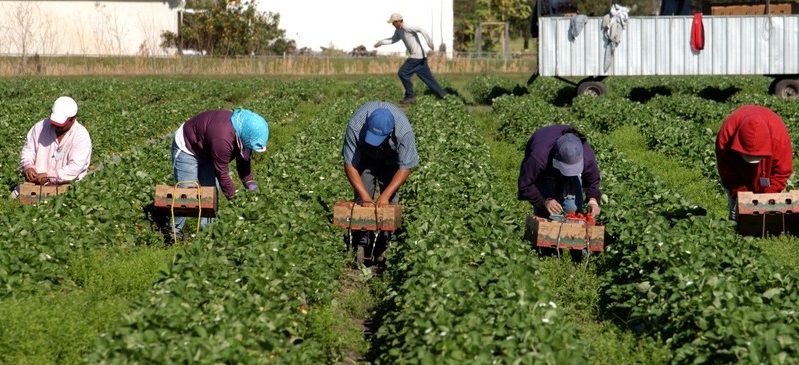LA INMIGRACIÓN ES UNA NECESIDAD