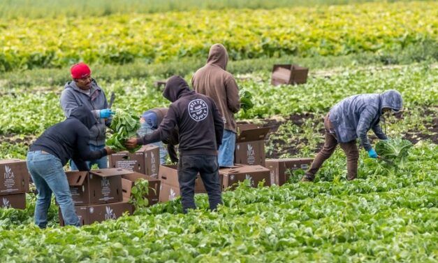 EMIGRANTES E INMIGRANTES EN ESPAÑA