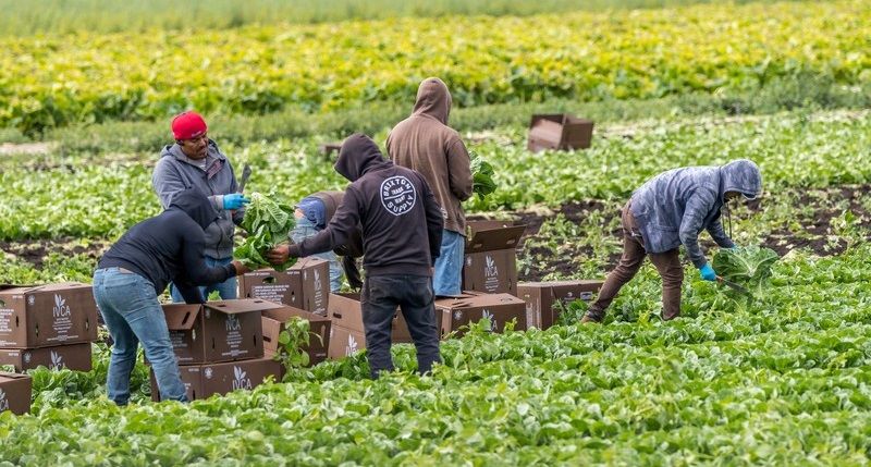 EMIGRANTES E INMIGRANTES EN ESPAÑA
