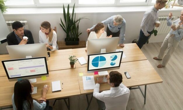 EL OBJETIVO DEL PLENO EMPLEO