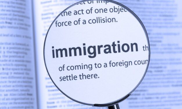 LA INMIGRACION ES MAS SOLUCIÓN QUE PROBLEMA