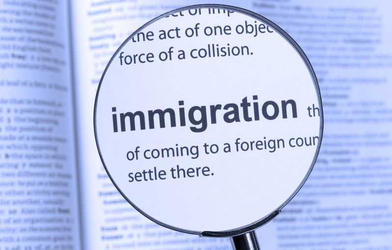 LA INMIGRACION ES MAS SOLUCIÓN QUE PROBLEMA