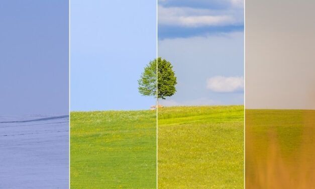 ¿ADIÓS A LA TRANSICIÓN ECOSOCIAL DE LA UE?