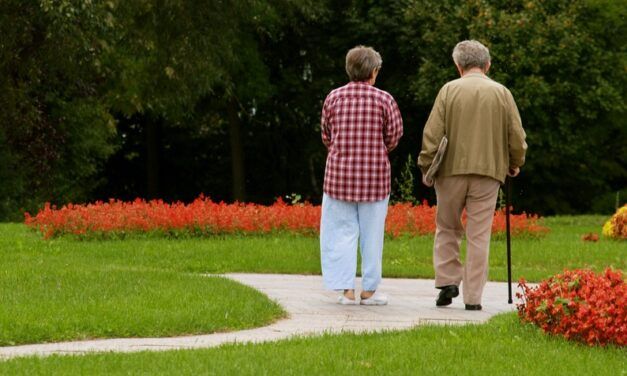 LAS PENSIONES SON SOSTENIBLES