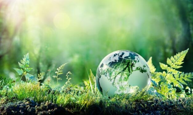 SOSTENIBILIDAD AMBIENTAL DEL DESARROLLO EN ESPAÑA