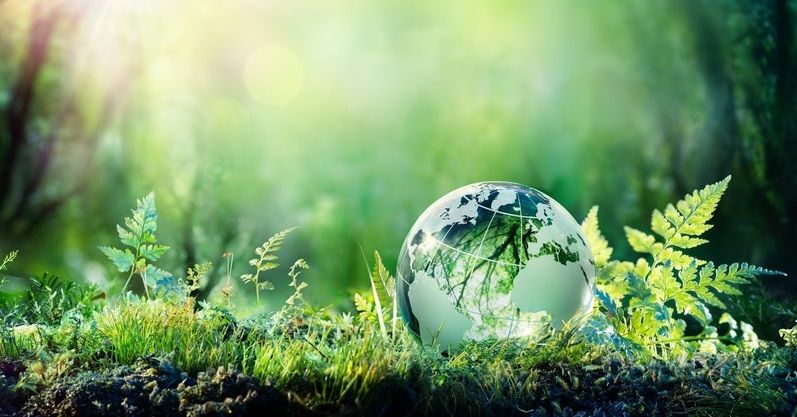 SOSTENIBILIDAD AMBIENTAL DEL DESARROLLO EN ESPAÑA