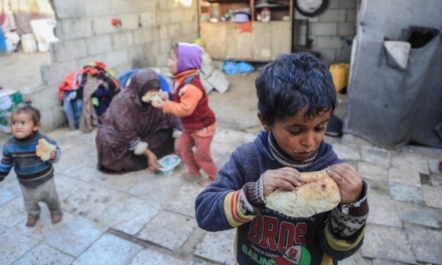 GAZA Y LA POLÍTICA DE LAS GÓNADAS