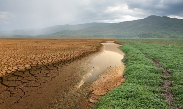 EL 75,1% DE LOS ESPAÑOLES QUIERE UN PACTO DE ESTADO FRENTE AL CAMBIO CLIMÁTICO