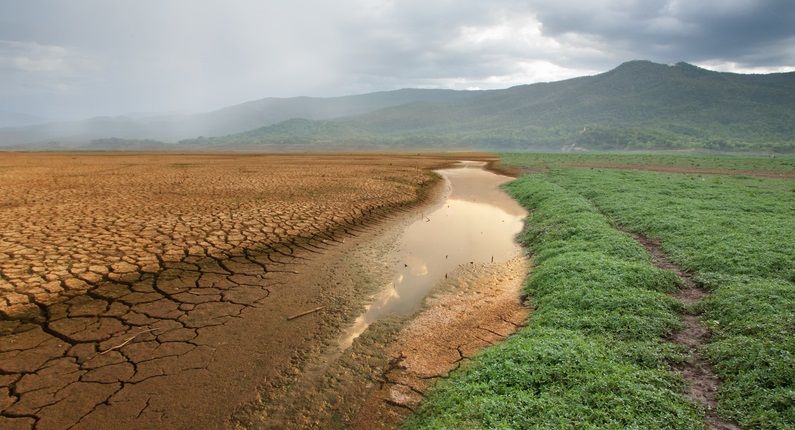 EL 75,1% DE LOS ESPAÑOLES QUIERE UN PACTO DE ESTADO FRENTE AL CAMBIO CLIMÁTICO