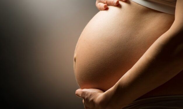 LA MATERNIDAD SUBROGADA EN LA ESPAÑA ACTUAL