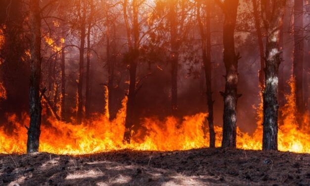 FUEGO, FRONTERAS Y RESPONSABILIDADES