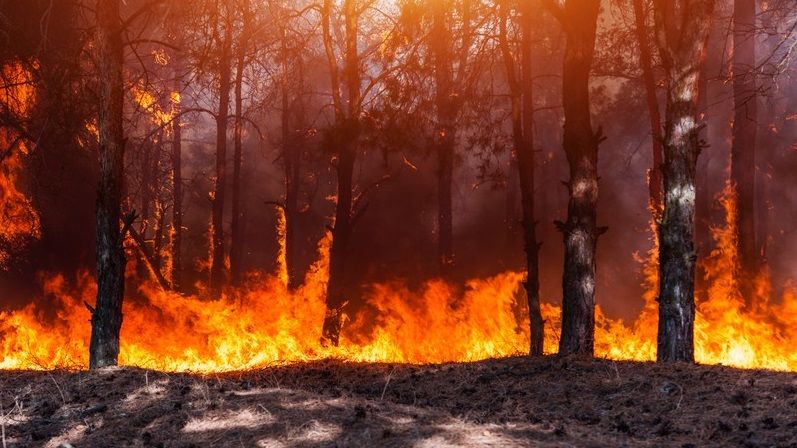 FUEGO, FRONTERAS Y RESPONSABILIDADES