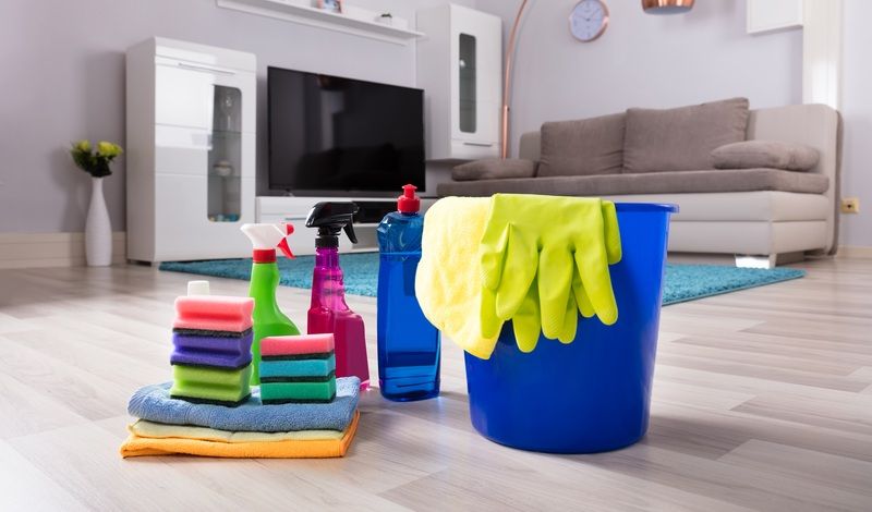 EL EMPLEO DEL HOGAR