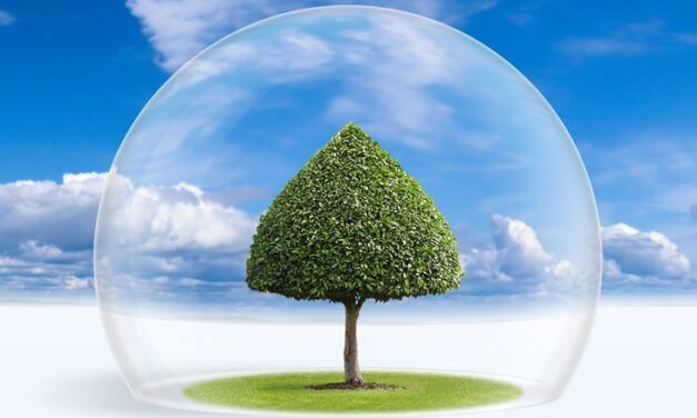 EL ESTADO FRENTE A LA EMERGENCIA CLIMÁTICA