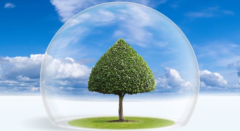 EL ESTADO FRENTE A LA EMERGENCIA CLIMÁTICA