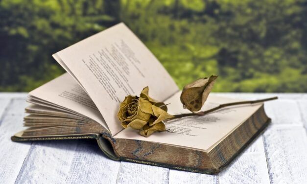 23 DE ABRIL: DÍA MUNDIAL DEL LIBRO. UN DÍA REVOLUCIONARIO