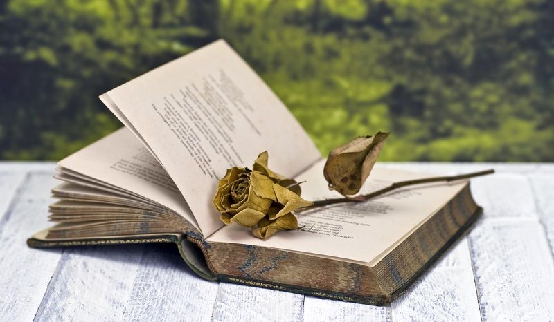 23 DE ABRIL: DÍA MUNDIAL DEL LIBRO. UN DÍA REVOLUCIONARIO