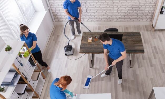 PREVENCIÓN DE RIESGOS LABORALES PARA LAS EMPLEADAS DEL HOGAR