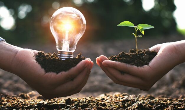 SE NECESITA MÁS RADICALIDAD EN LAS MEDIDAS ENERGÉTICAS