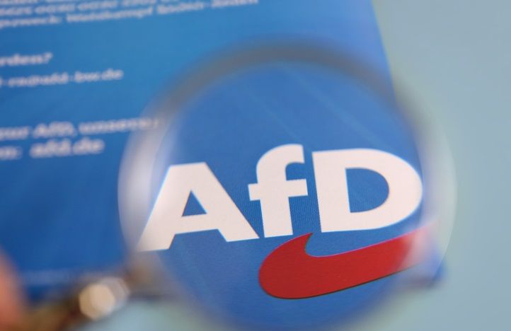 ¿QUÉ HACER CON UN 44%?