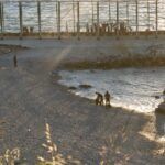 LA CRISIS DE CEUTA EN CLAVE DE POLÍTICA INTERNA